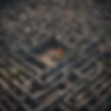 Navigating the Maze of Mortgage Brokers Illustration of a maze symbolizing the complex mortgage broker market
